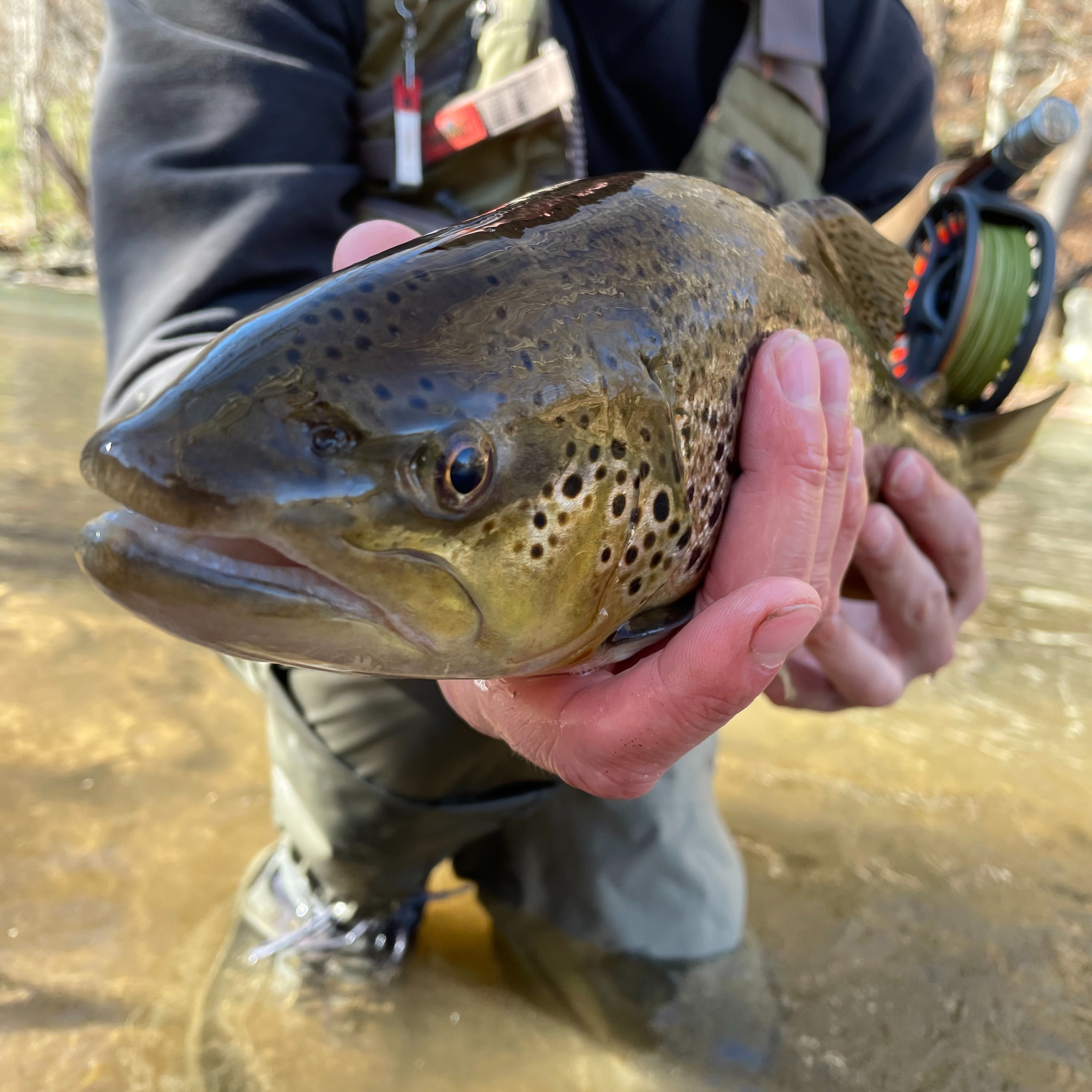 2nd Annual Haywood Fishing Tournament - logo